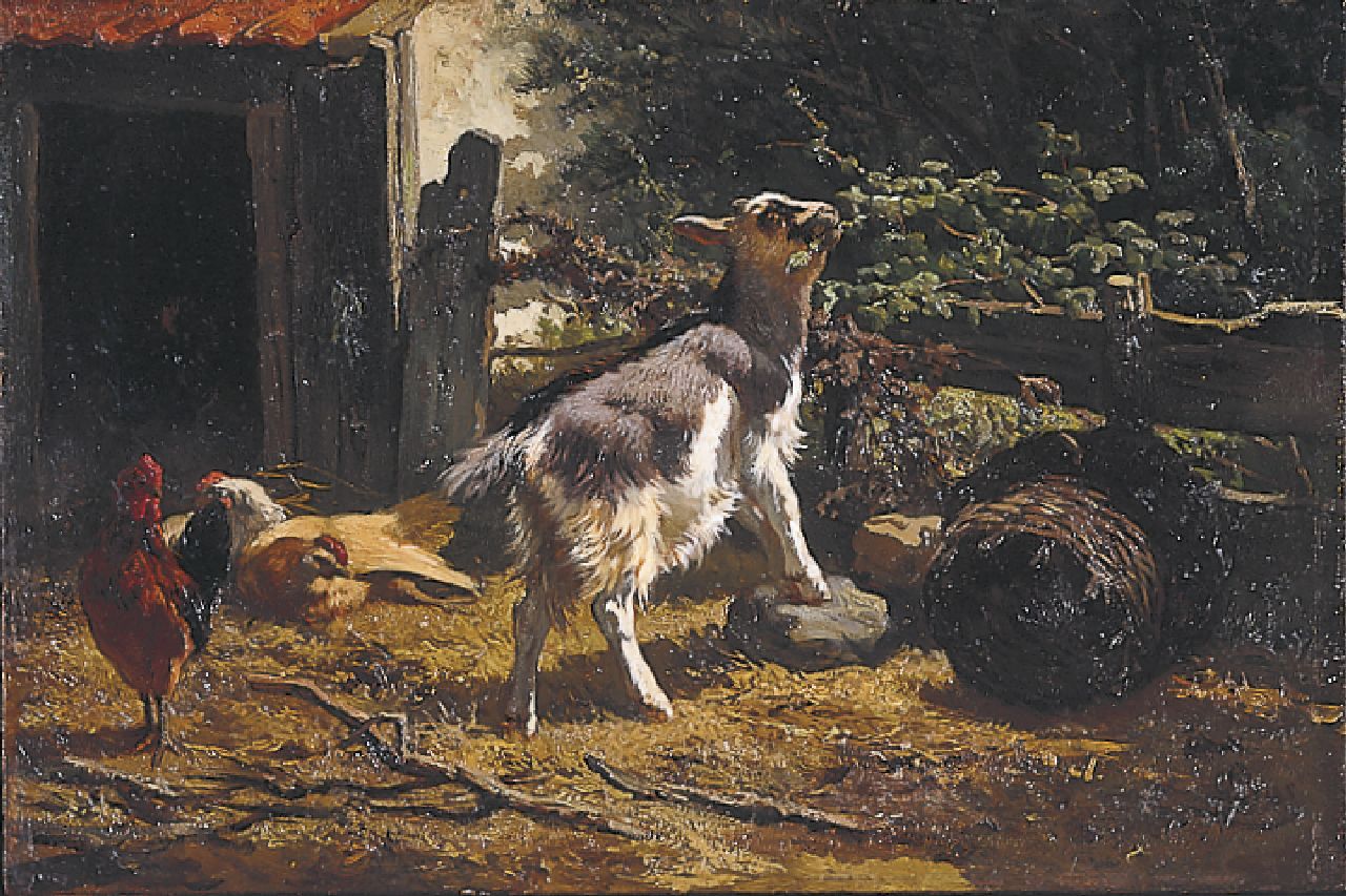 Bos G.J.  | Gerardus Johannes Bos, A young goat, oil on panel 21.6 x 32.4 cm, signed l.r.