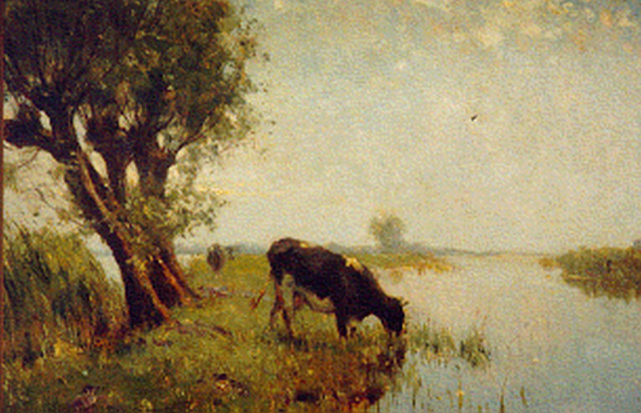 Altmann G.  | Gerard Altmann, Cow in a meadow, oil on canvas 50.0 x 40.0 cm, signed signed l.l.