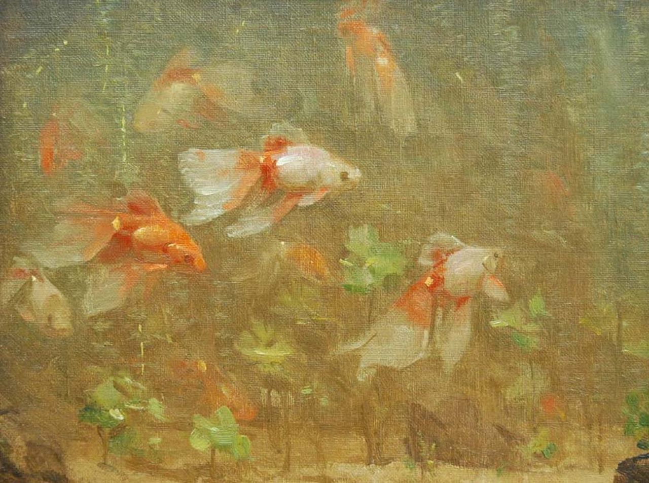 Dijsselhof G.W.  | Gerrit Willem Dijsselhof, Veil-tail fish, oil on canvas 18.7 x 24.3 cm, signed l.l. with monogram