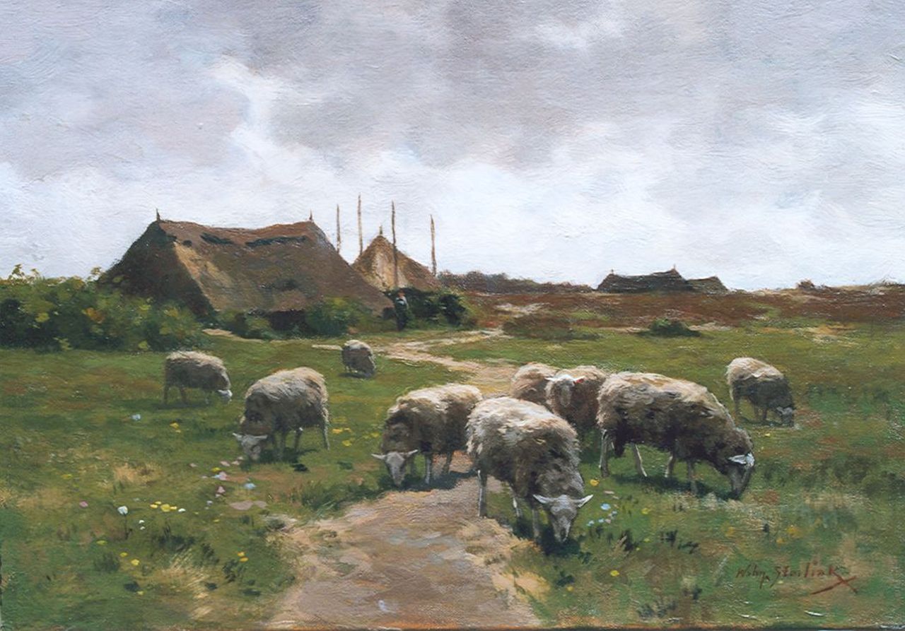 Steelink jr. W.  | Willem Steelink jr., Sheep grazing near the heath, oil on canvas 26.6 x 38.0 cm, signed l.r.