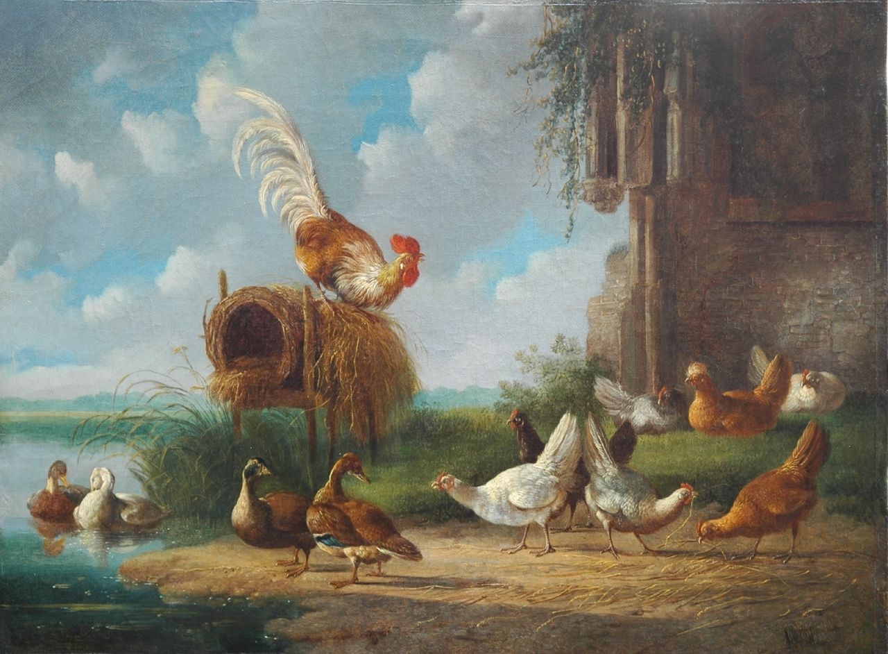 Verhoesen A.  | Albertus Verhoesen, A rooster with chickens and ducks at the waterside, oil on canvas 34.7 x 46.5 cm, signed l.r.