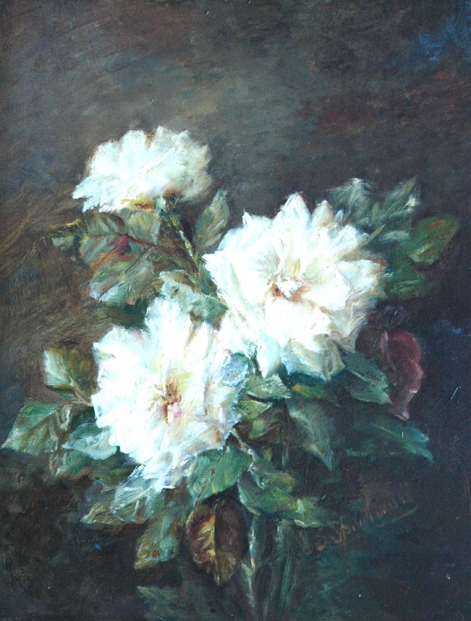 Sophie Speelman | Tea roses, oil on panel, 45.2 x 35.0 cm, signed l.r.