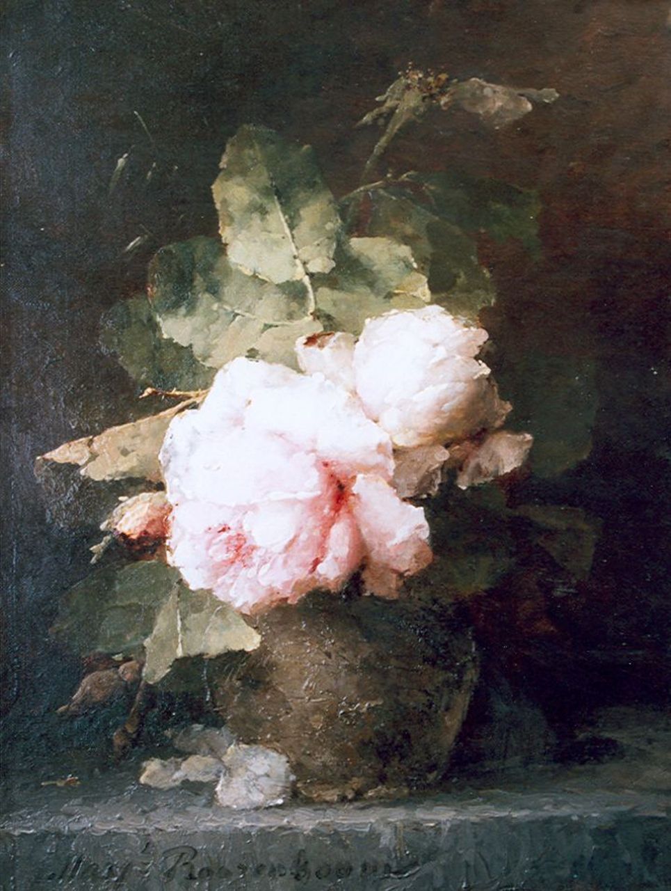 Roosenboom M.C.J.W.H.  | 'Margaretha' Cornelia Johanna Wilhelmina Henriëtta Roosenboom, Pink roses, oil on canvas 39.7 x 30.0 cm, signed l.l.
