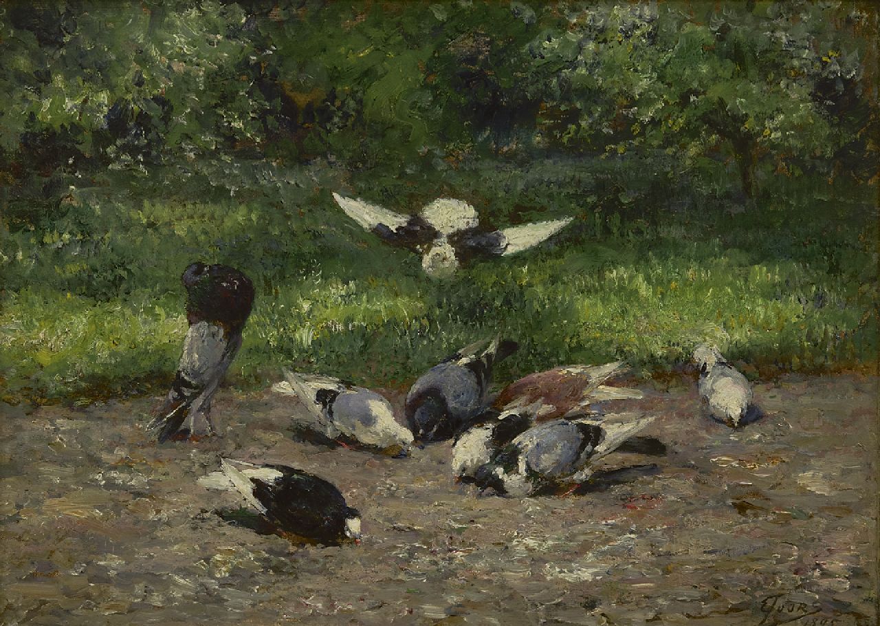 Joors E.  | Eugeen Joors, Pigeons in the park, oil on panel 24.0 x 32.5 cm, signed l.r. and dated 1895