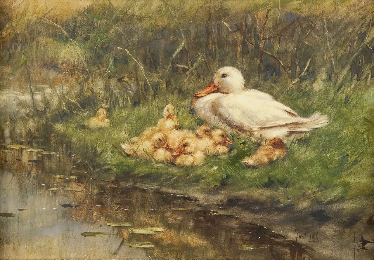 Hulk jr. J.F.  | Johannes Frederik 'John' Hulk jr., A mother duck with her ducklings on a riverbank, watercolour on paper 42.5 x 62.6 cm, signed l.r.