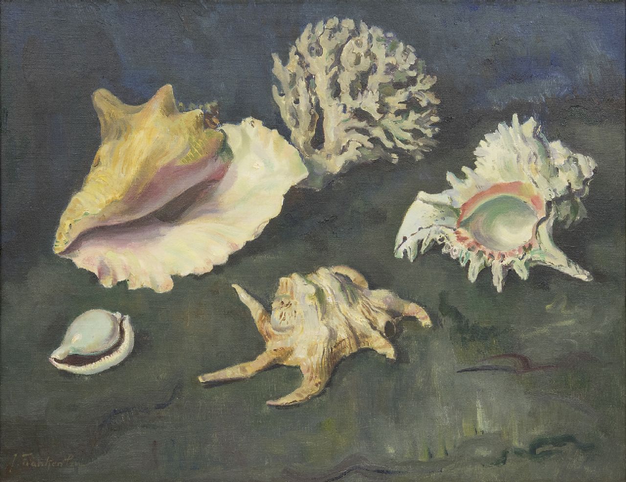 Franken J.P.J.  | Joannes Petrus Josephus 'Jan' Franken, Shells and coral, oil on canvas 50.2 x 65.2 cm, signed l.l.