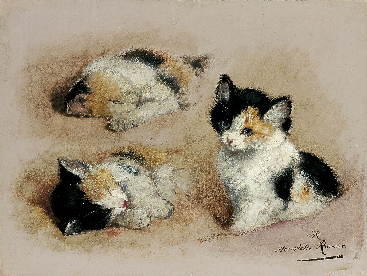 Ronner-Knip H.  | Henriette Ronner-Knip, Study of a kitten, oil on paper laid down on panel 27.1 x 36.1 cm, signed l.r. with initials and in full