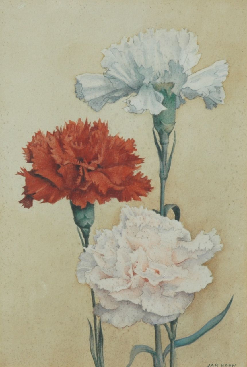 Boon J.  | Jan Boon, Carnations, pencil and watercolour on paper 17.2 x 24.9 cm, signed l.r.