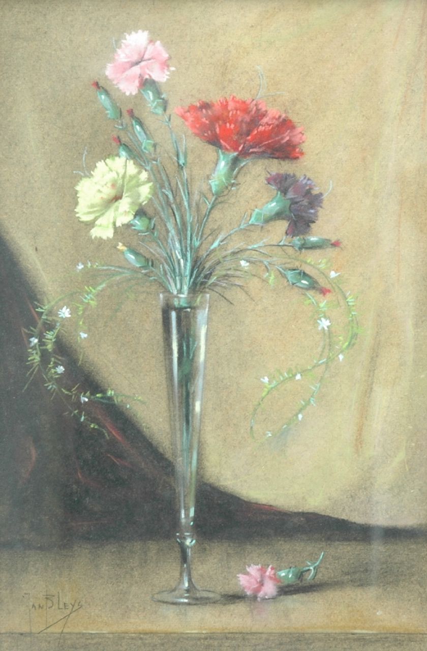 Jan Bleijs | Carnations, charcoal and pastel on cardboard, 53.7 x 37.3 cm, signed l.l.