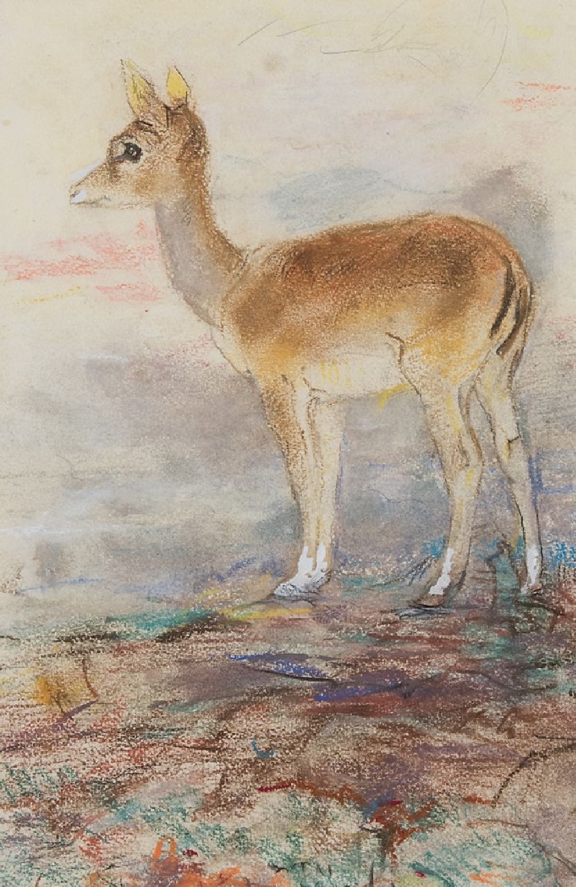 Vaarzon Morel W.F.A.I.  | Wilhelm Ferdinand Abraham Isaac 'Willem' Vaarzon Morel, A small deer, pastel on paper 27.5 x 18.5 cm, signed l.c.