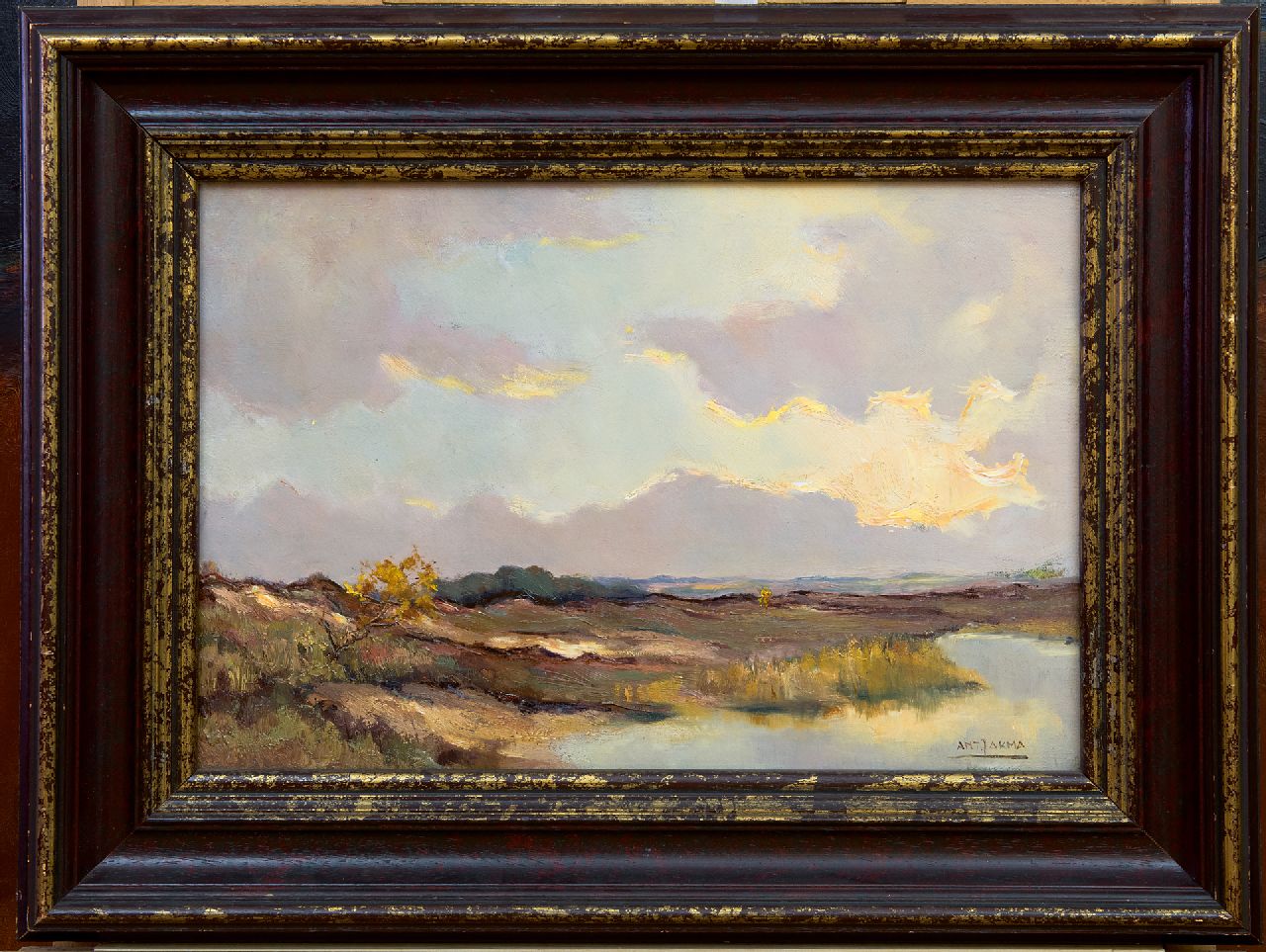 Jakma J.A.  | Johannes Antonius 'Anton' Jakma, Heathland, oil on canvas 30.0 x 43.5 cm, signed l.r.