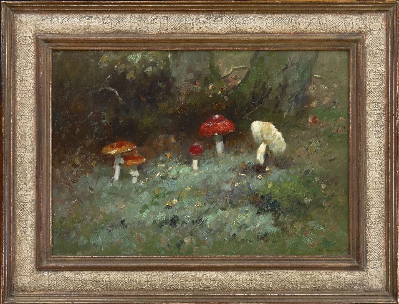 Knikker A.  | Aris Knikker, A still life of the forest ground, oil on canvas 35.2 x 50.3 cm, signed l.r.