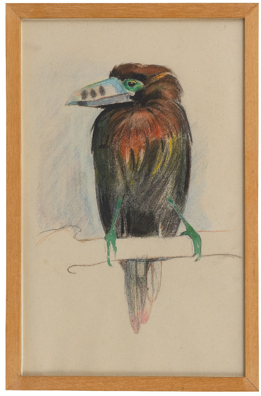 Bruigom M.C.  | Margaretha Cornelia 'Greta' Bruigom | Watercolours and drawings offered for sale | A toucan, chalk and watercolour on paper 43.6 x 29.3 cm