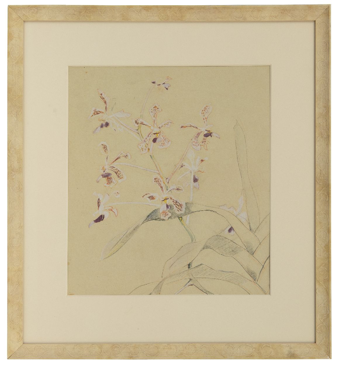 Bruigom M.C.  | Margaretha Cornelia 'Greta' Bruigom | Watercolours and drawings offered for sale | Orchid branch, pencil, chalk and watercolour on paper 45.9 x 32.4 cm, signed l.r.