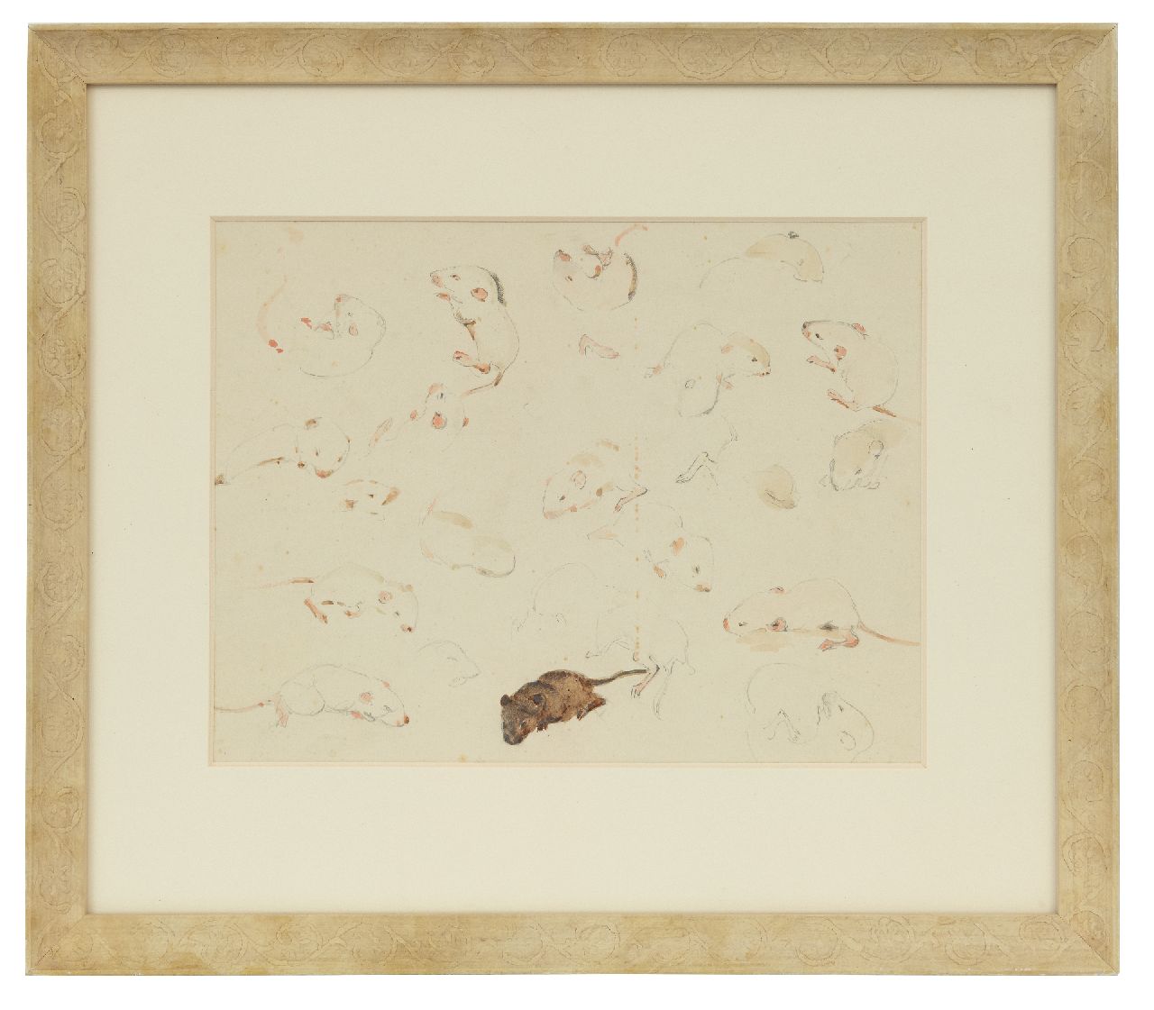 Bruigom M.C.  | Margaretha Cornelia 'Greta' Bruigom | Watercolours and drawings offered for sale | A study of baby mice, 10 days old, pencil and watercolour on paper 19.9 x 24.1 cm, signed l.r.