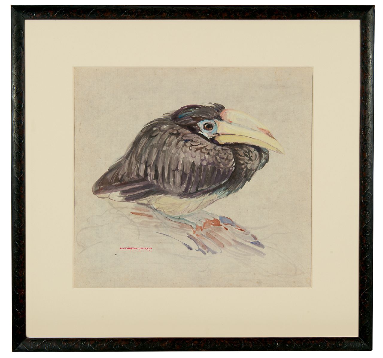 Bruigom M.C.  | Margaretha Cornelia 'Greta' Bruigom, A young hornbill, watercolour on paper 32.4 x 35.5 cm, signed l.l. with the artist's stamp