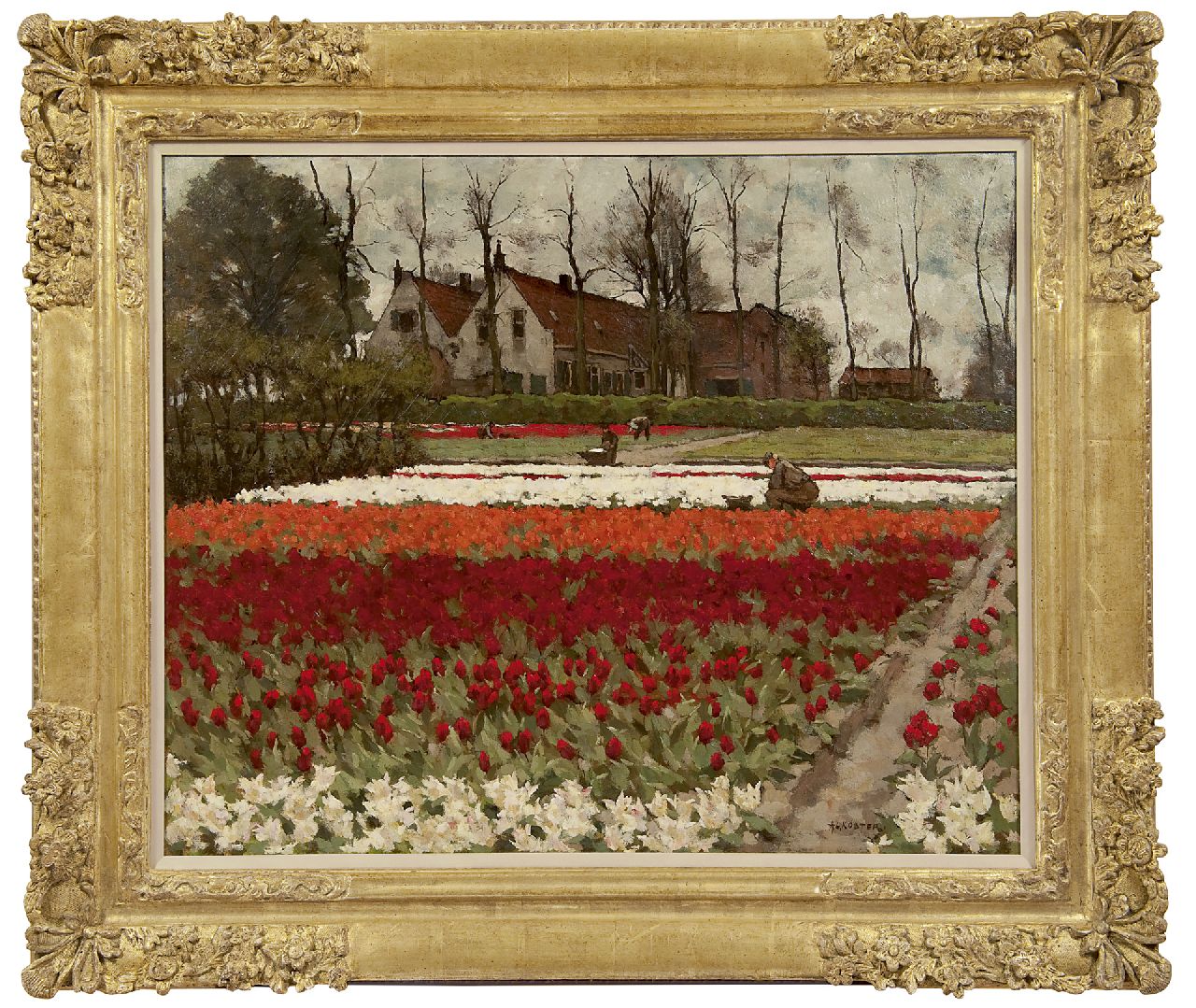 Koster A.L.  | Anton Louis 'Anton L.' Koster, Hyacinths and tulipfields, Overveen, oil on canvas 60.0 x 73.2 cm, signed l.r.