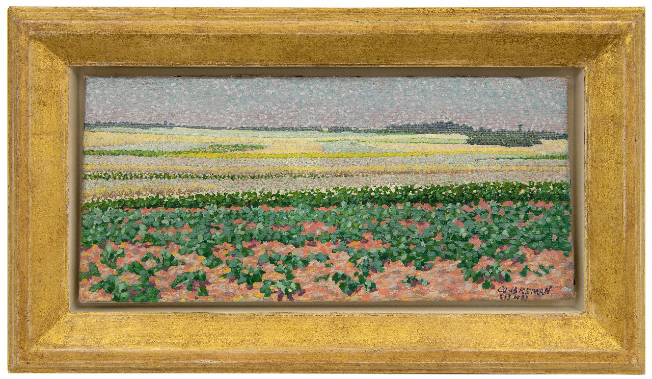 Breman A.J.  | Ahazueros Jacobus 'Co' Breman, Summer landscape with potatofields in the Gooi region, oil on canvas 18.7 x 40.5 cm, signed l.r. and dated 'L 1 7 1903'