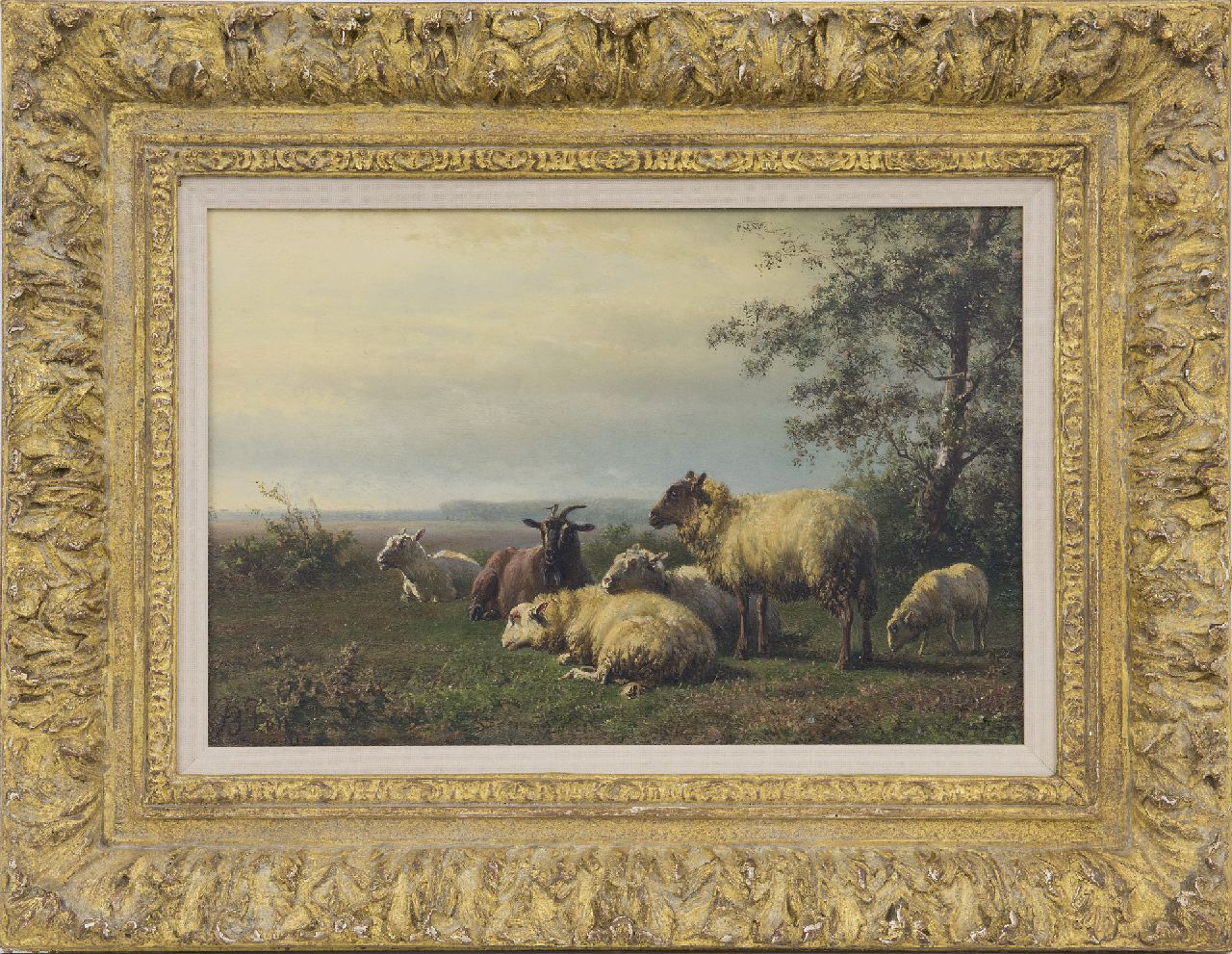 Tom J.B.  | Jan Bedijs Tom, Sheep and a goat in a meadow (only together with pendant), oil on panel 19.9 x 29.4 cm, signed l.l.