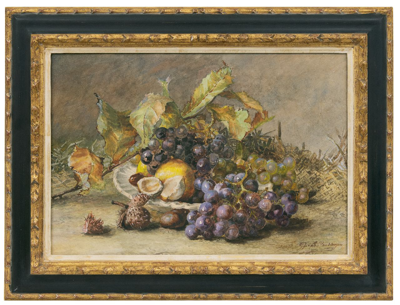 Sande Bakhuyzen G.J. van de | 'Gerardine' Jacoba van de Sande Bakhuyzen, A still life with grapes and chestnuts, watercolour on paper 34.5 x 50.3 cm, signed l.r.