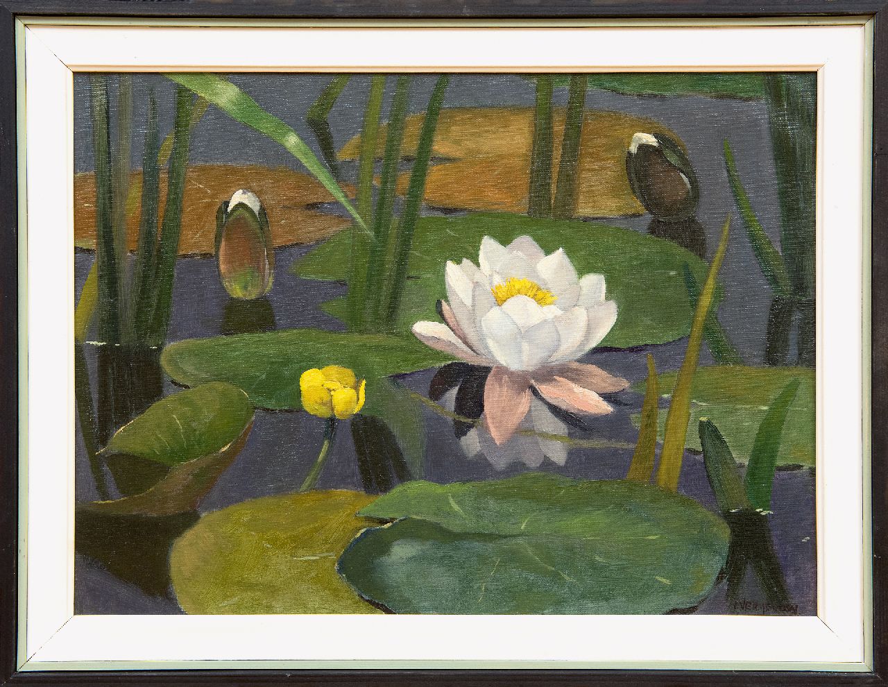 Vermeulen A.  | Adriaan Vermeulen, Waterlillies, oil on canvas 30.4 x 40.7 cm, signed l.r.