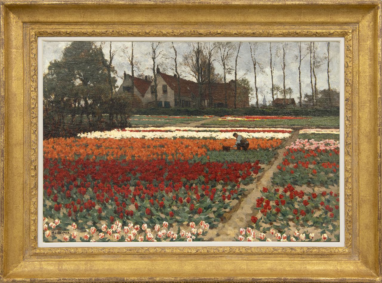 Koster A.L.  | Anton Louis 'Anton L.' Koster, Working in the tulip fields, Overveen, oil on canvas 52.4 x 75.6 cm, signed l.l.