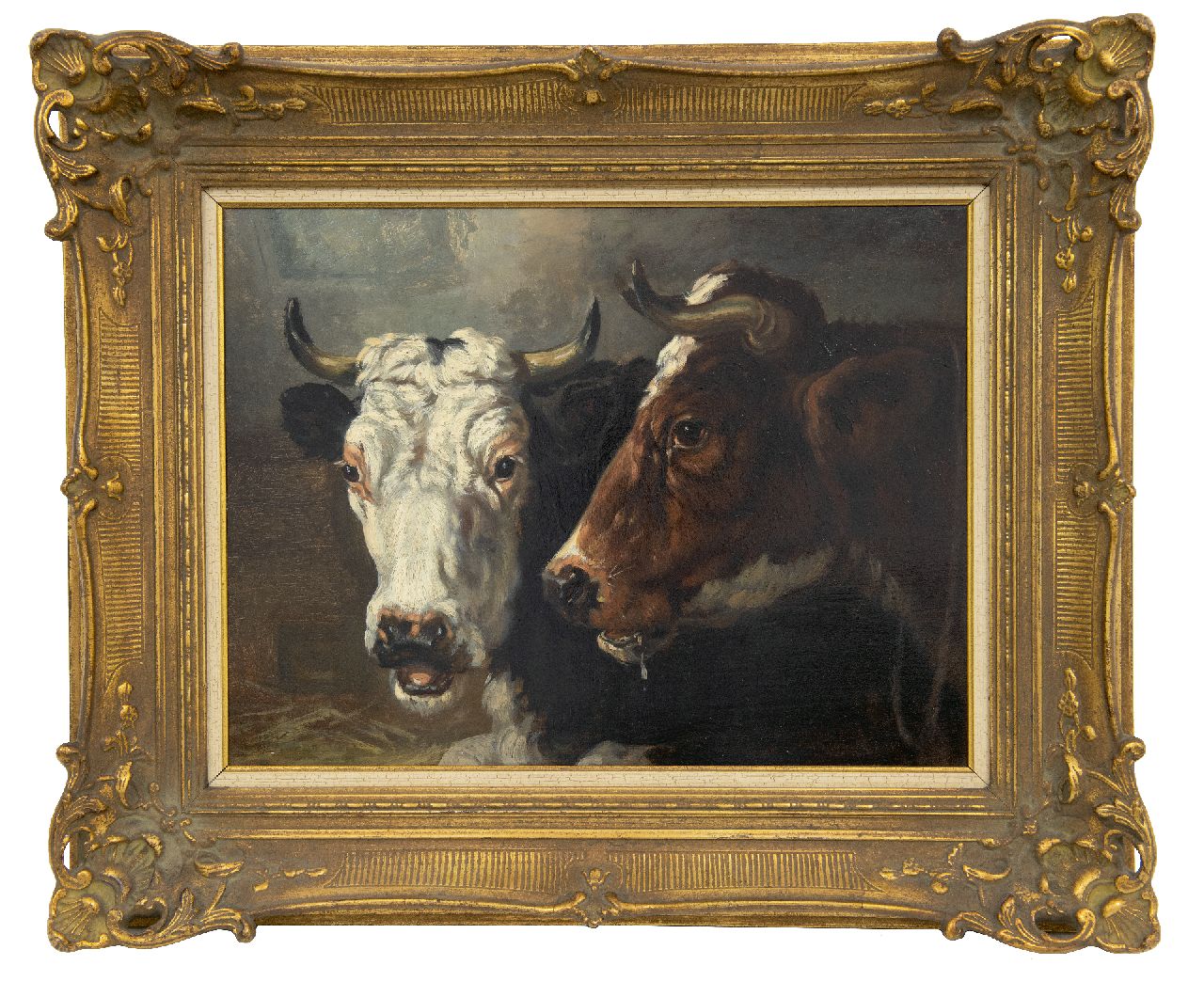 Burnier R.  | Richard Burnier, Two cows's heads, oil on panel 32.3 x 45.0 cm, signed on the reverse