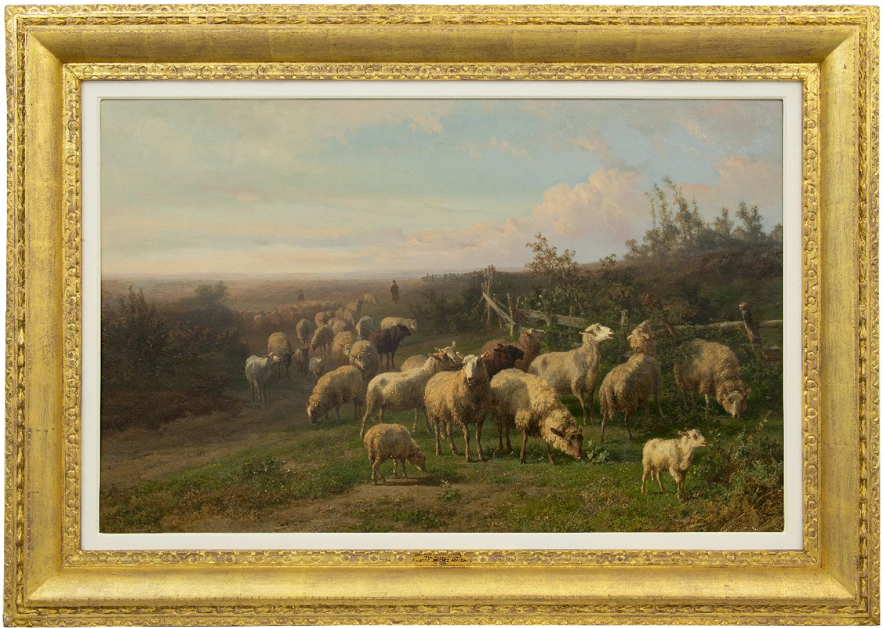 Tom J.B.  | Jan Bedijs Tom, Sheep in a vast landscape, oil on panel 60.3 x 94.0 cm, signed l.l.
