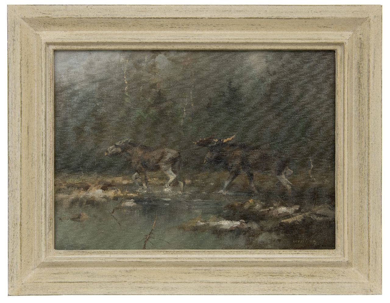 Schatz M.  | Manfred Schatz | Paintings offered for sale | A moose pair along a river, oil on canvas 40.0 x 55.6 cm, signed l.r.