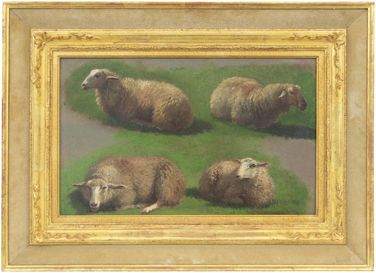 Lebret F.  | Frans Lebret, Study of sheep, oil on paper laid down on panel 23.4 x 37.0 cm