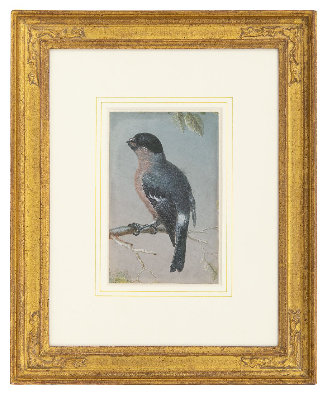 Agricola C.L.  | Christoph Ludwig Agricola, Finch, gouache on parchment 15.1 x 9.5 cm