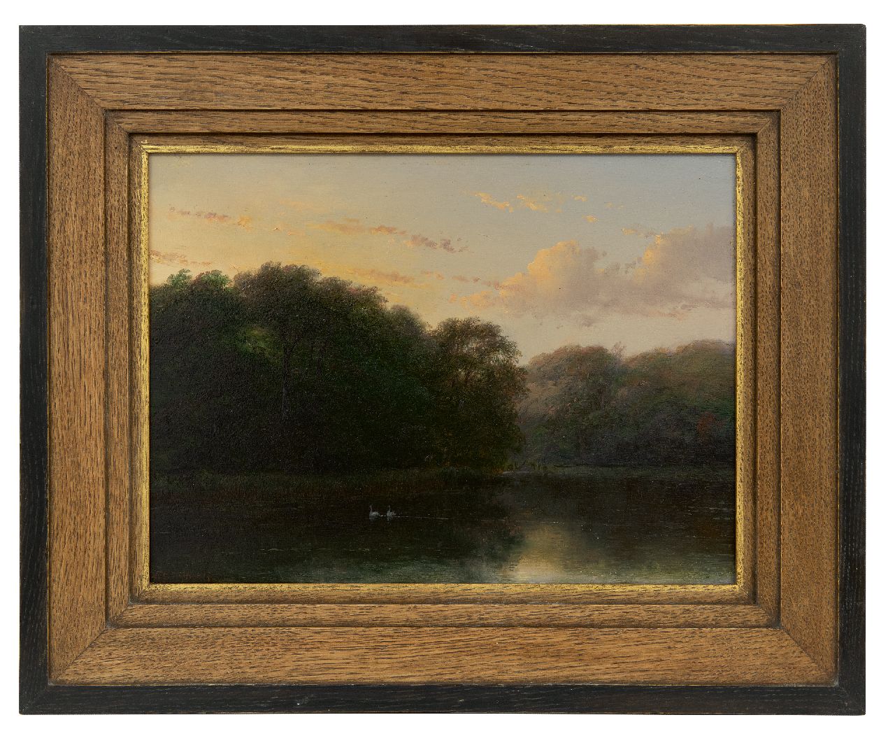 Schelfhout A.  | Andreas Schelfhout | Paintings offered for sale | Two swans in the pond of the Haagse Bos, oil on panel 24.0 x 32.6 cm, signed l.l.