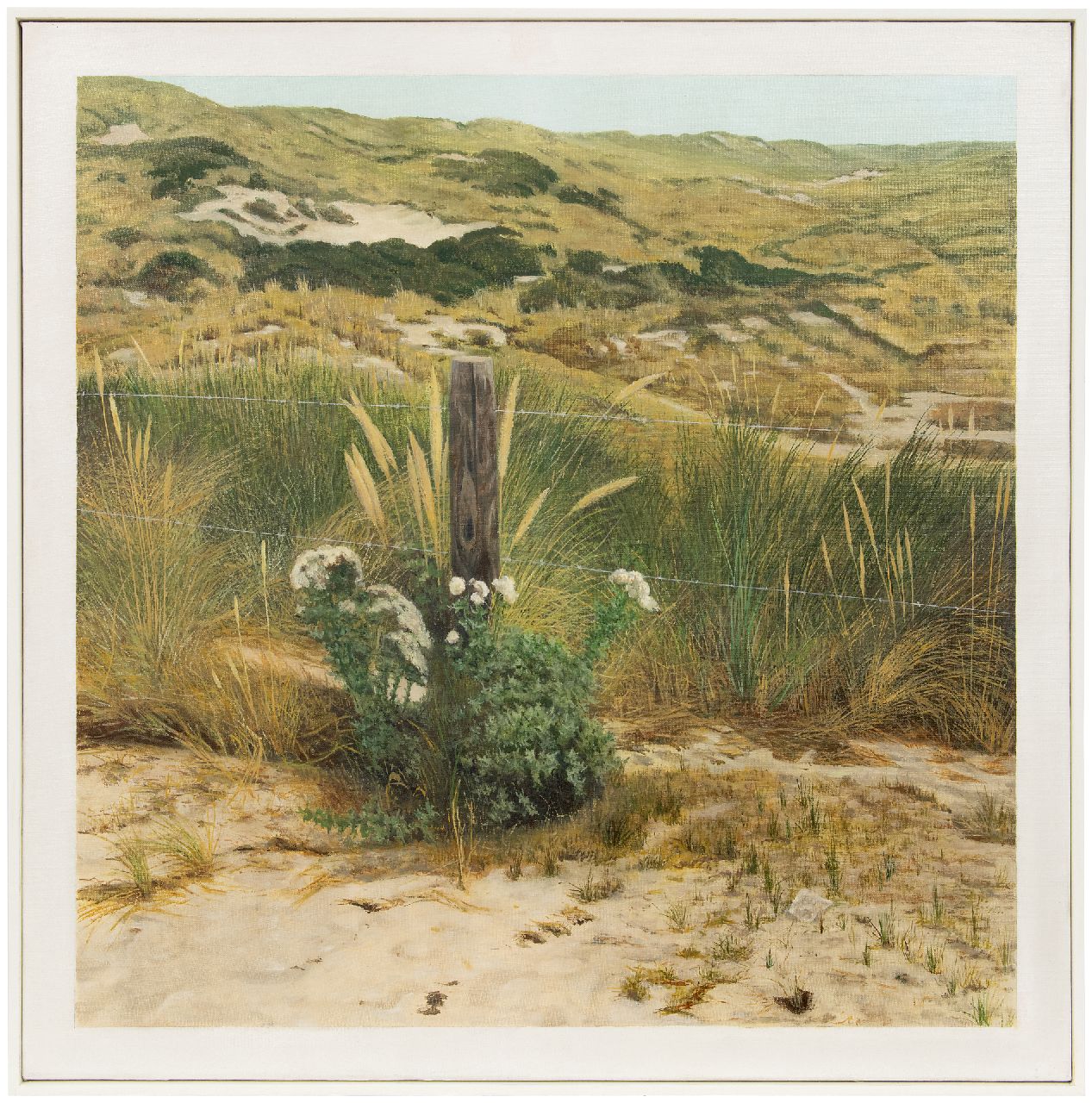 Loo P. van | Pieter 'Pit' van Loo | Paintings offered for sale | Still life in the dunes (Terschelling), oil on canvas 80.1 x 80.4 cm, signed l.r. on paper in the beach grass and dated '75 Loo P. van | Pieter 'Pit' van Loo | Paintings offered for sale | Still life in the dunes (Terschelling), oil on canvas 80.1 x 80.4 cm, signed l.r. on paper in the beach grass and dated '75