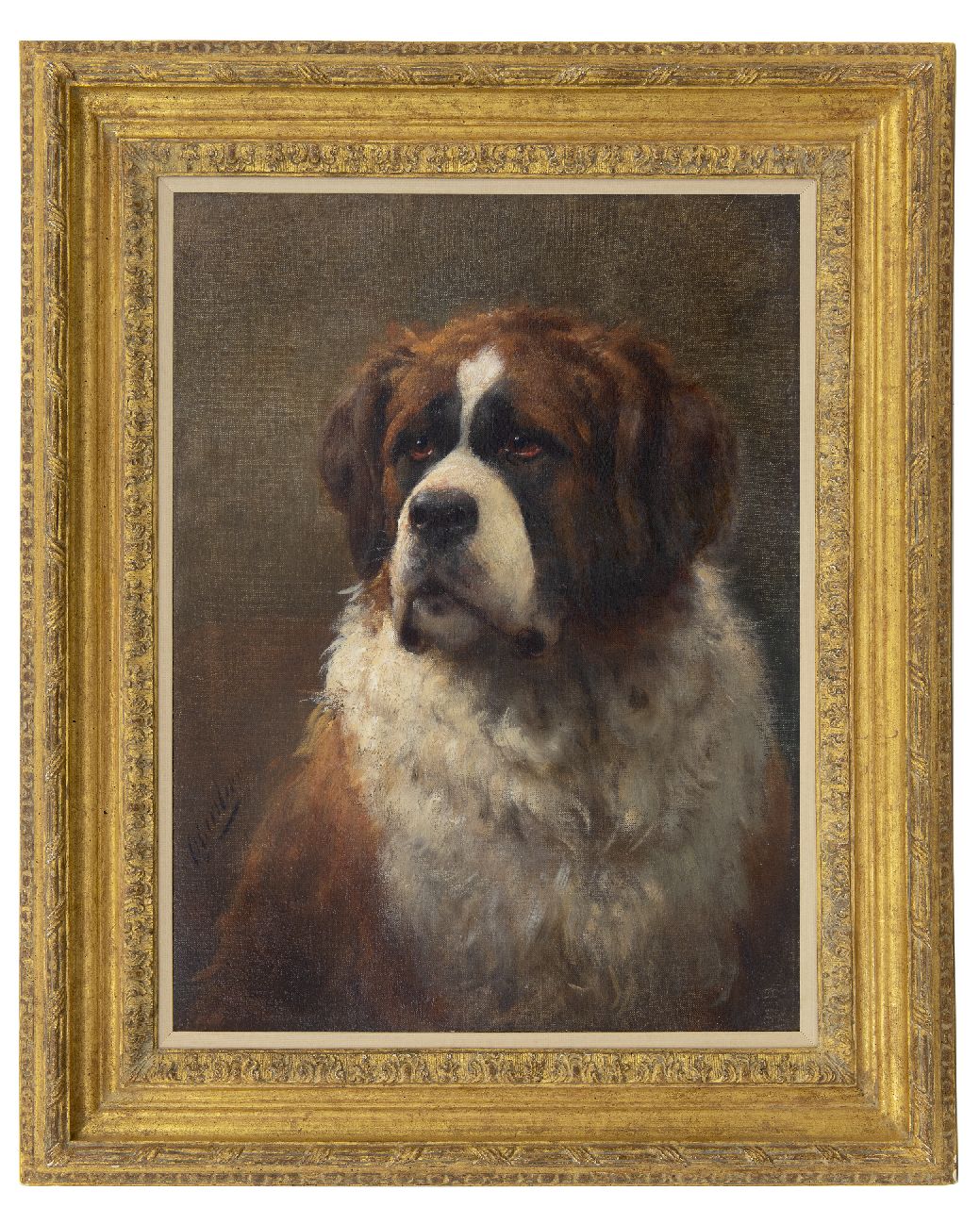 Eerelman O.  | Otto Eerelman, Portrait of a Saint-Bernard, oil on canvas 60.4 x 46.0 cm, signed l.l.