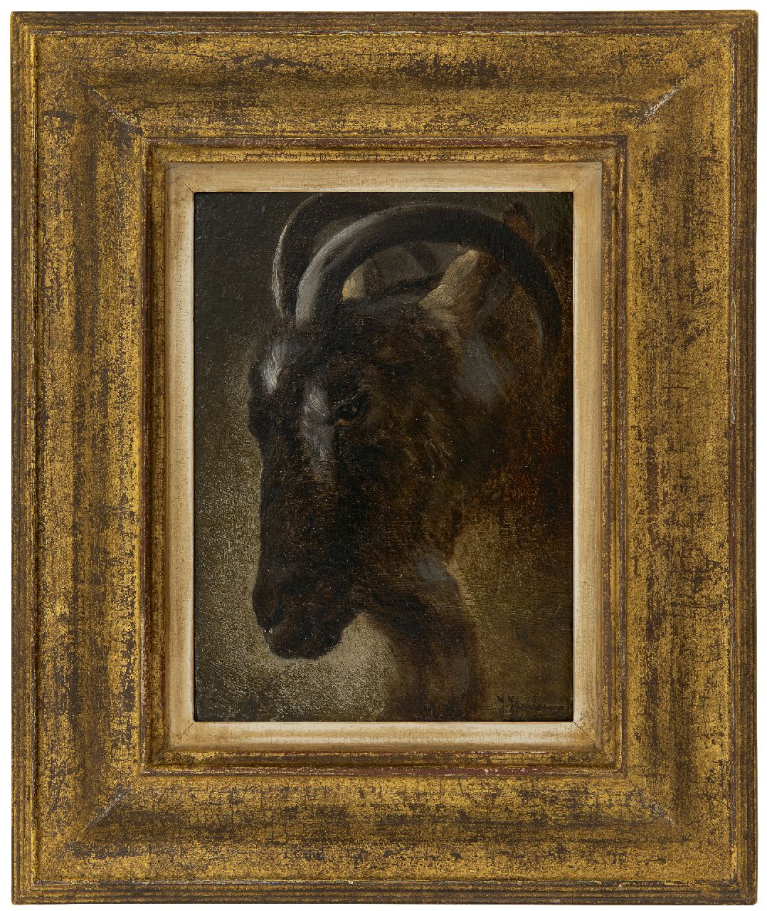 Janssens J.  | Jacques Janssens | Paintings offered for sale | Head of a ram, oil on panel 22.2 x 16.2 cm, signed l.r.