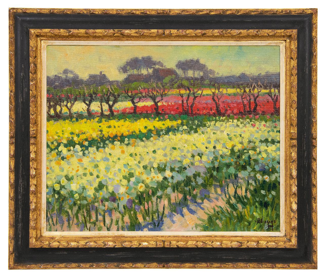 Viegers B.P.  | Bernardus Petrus 'Ben' Viegers, Narcissus- and tulip fields in Bakkum, North Holland, oil on canvas 40.6 x 50.6 cm, signed l.r.