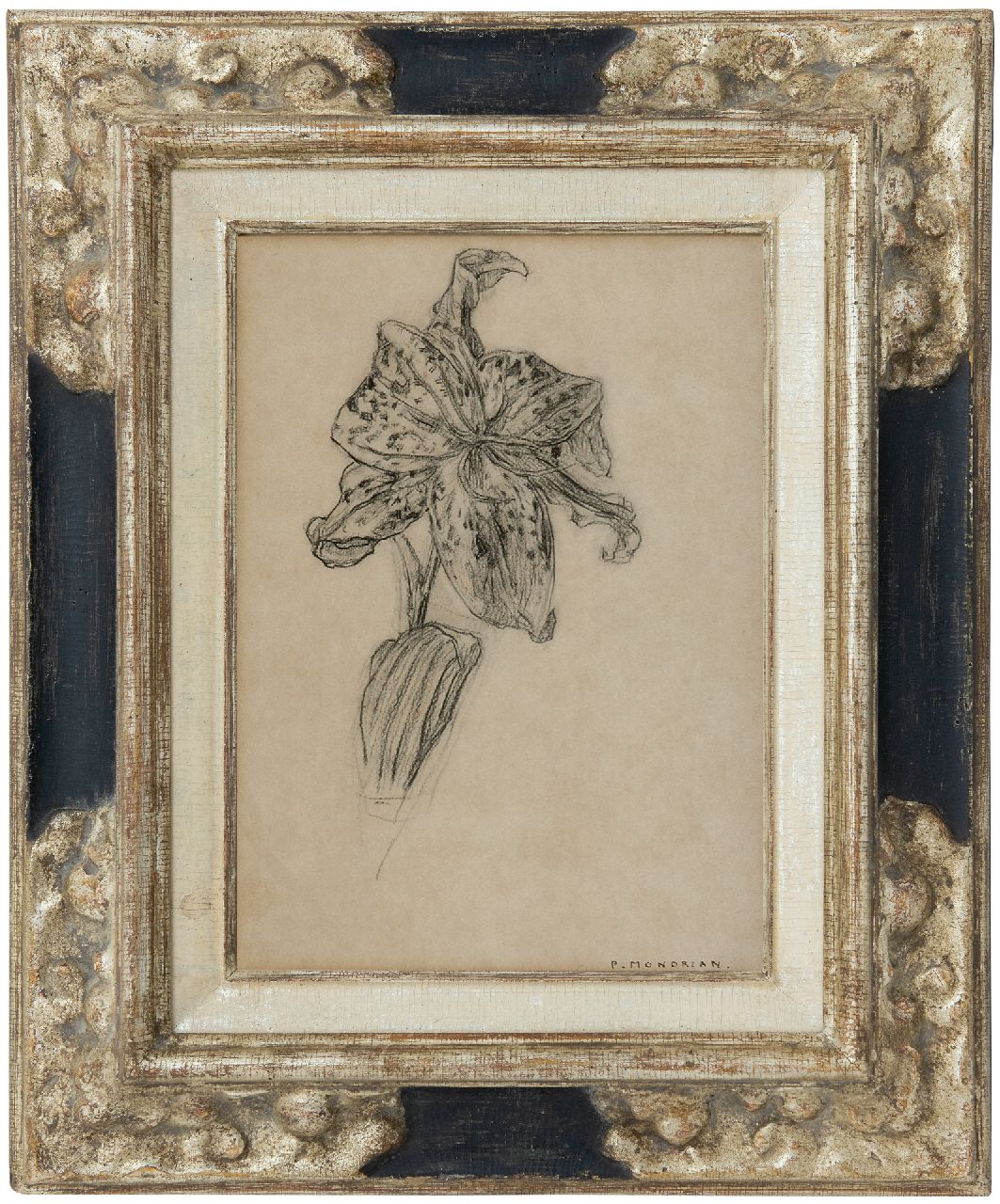 Mondriaan P.C.  | Pieter Cornelis 'Piet' Mondriaan, Lily, charcoal on paper 25.9 x 19.0 cm, signed l.r. 'P. Mondrian' and executed 1912 or after 1921
