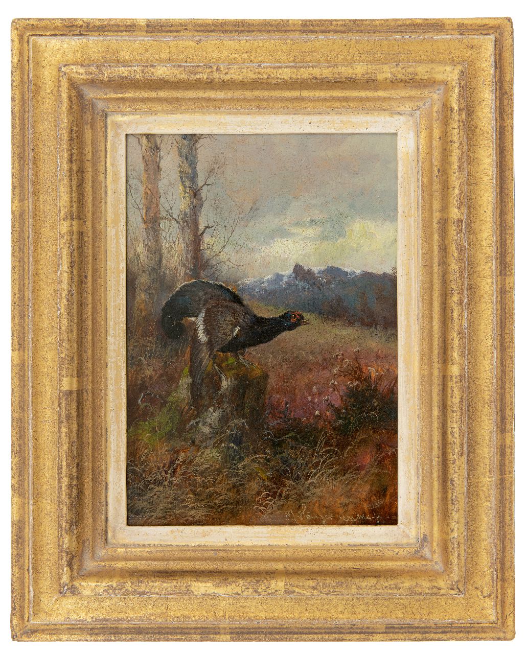 Hänger M.  | Max Hänger | Paintings offered for sale | Grouse looking right, oil on panel 19.7 x 13.8 cm, signed l.r.
