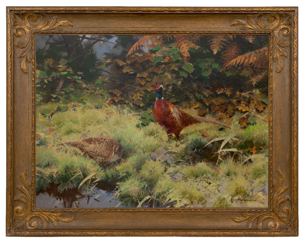 Hem P. van der | Pieter 'Piet' van der Hem | Paintings offered for sale | Pheasant pair, oil on canvas 74.8 x 104.0 cm, signed l.r.