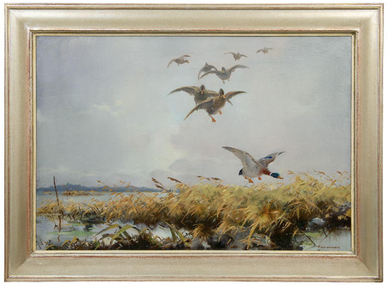 Hem P. van der | Pieter 'Piet' van der Hem | Paintings offered for sale | Duck flight, oil on canvas 65.8 x 96.4 cm, signed l.r.