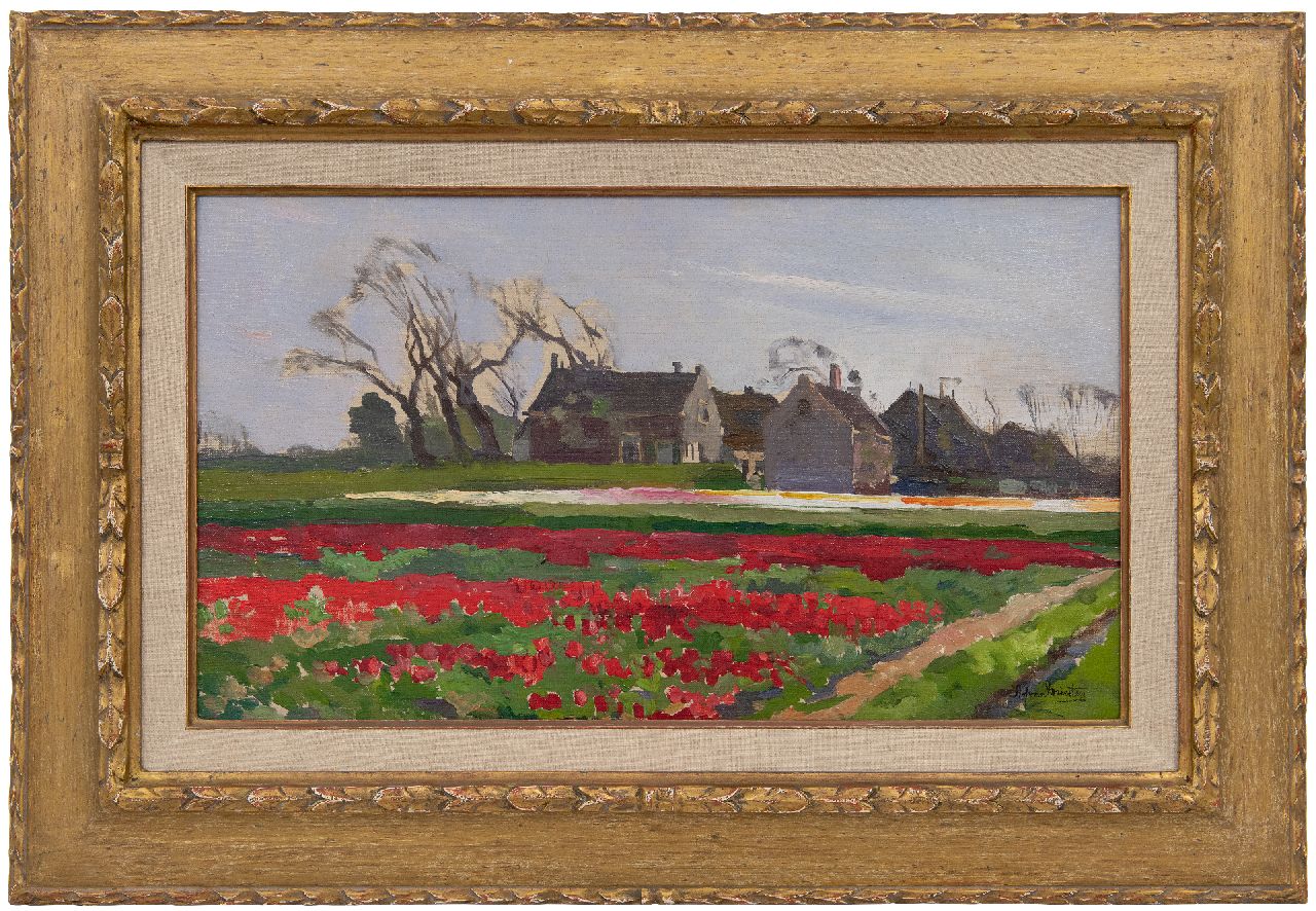 Driesten A.J. van | Arend Jan van Driesten | Paintings offered for sale | Bulb fields, oil on painter's board 28.5 x 49.7 cm, signed l.r.