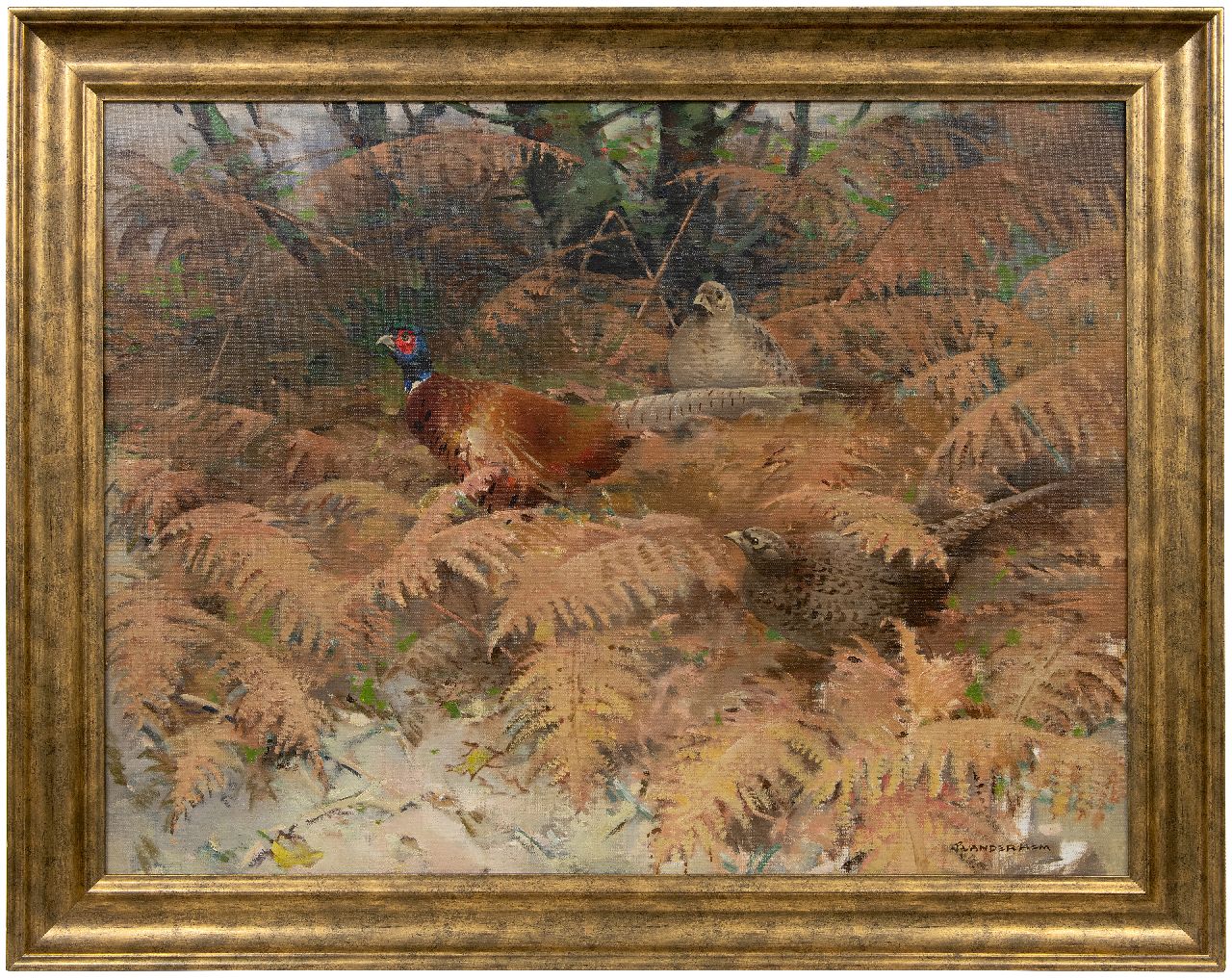 Hem P. van der | Pieter 'Piet' van der Hem | Paintings offered for sale | Pheasant rooster with two hens between ferns, oil on canvas 74.1 x 98.2 cm, signed l.r.