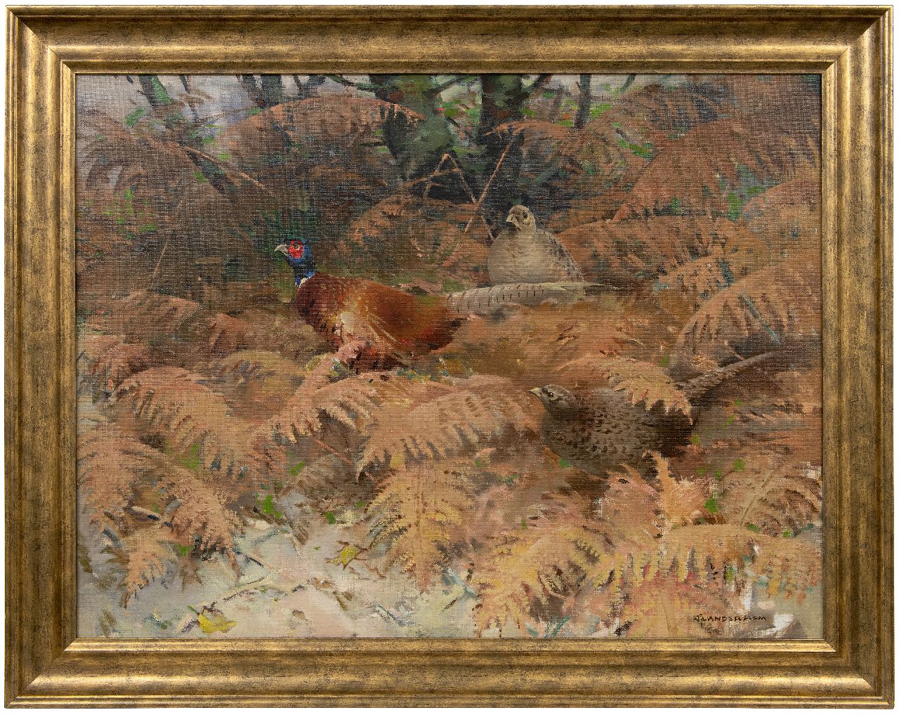 Hem P. van der | Pieter 'Piet' van der Hem | Paintings offered for sale | Pheasant rooster with two hens between ferns, oil on canvas 75.5 x 100.0 cm, signed l.r.