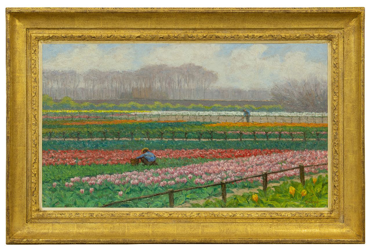 Bleckmann W.C.C.  | Wilhelm Christiaan Constant Bleckmann, Bulb field, oil on paper on canvas on panel 49.9 x 86.6 cm, signed l.r.