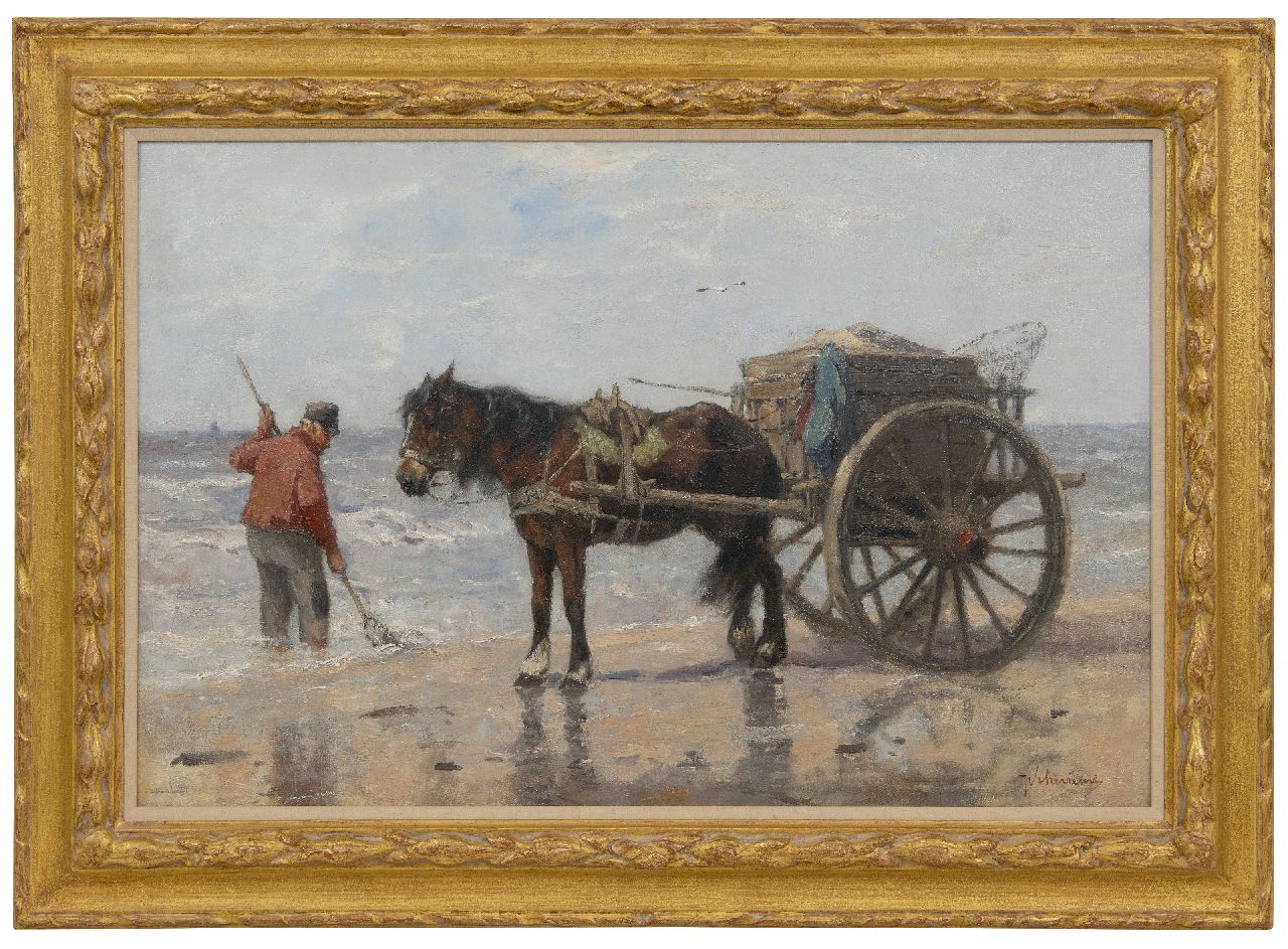 Scherrewitz J.F.C.  | Johan Frederik Cornelis Scherrewitz | Paintings offered for sale | Shell fisherman on the beach, oil on canvas 57.7 x 86.4 cm, signed l.r.