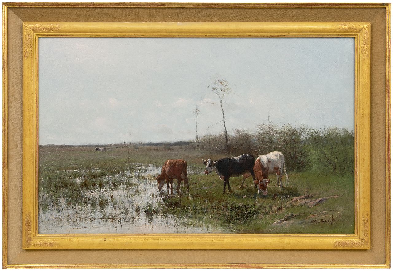 Maris W.  | Willem Maris, Grazing cows, oil on canvas 49.8 x 89.9 cm, signed l.r.