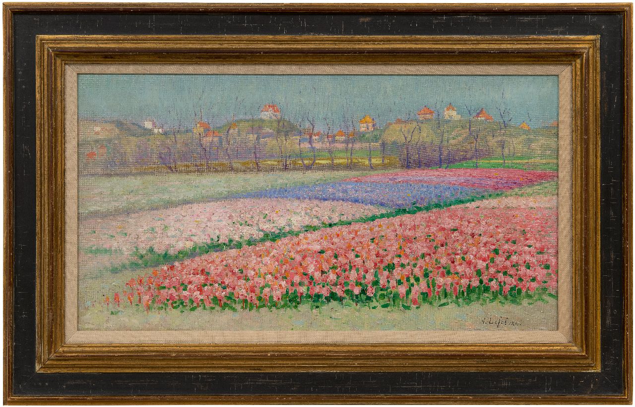 Lefebvre A.  | Albrecht 'Albert' Lefebvre | Paintings offered for sale | Hyacinth fields behind the dunes near Noordwijk, oil on canvas 32.4 x 60.0 cm, signed l.r.