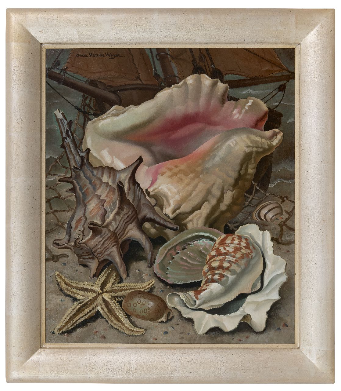 Weyer O. van de | Omer van de Weyer | Paintings offered for sale | Still life with exotic shells, oil on canvas 60.2 x 50.3 cm, signed u.l.