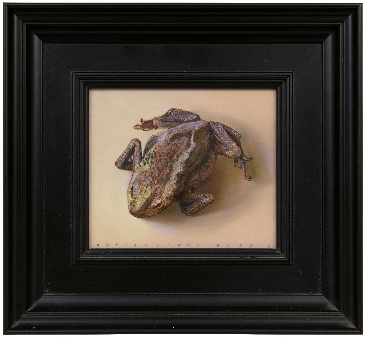 Hiemstra R.  | Rutger Hiemstra | Paintings offered for sale | Dried up toad, oil on panel 10.6 x 12.5 cm, signed l.m. and dated 2016
