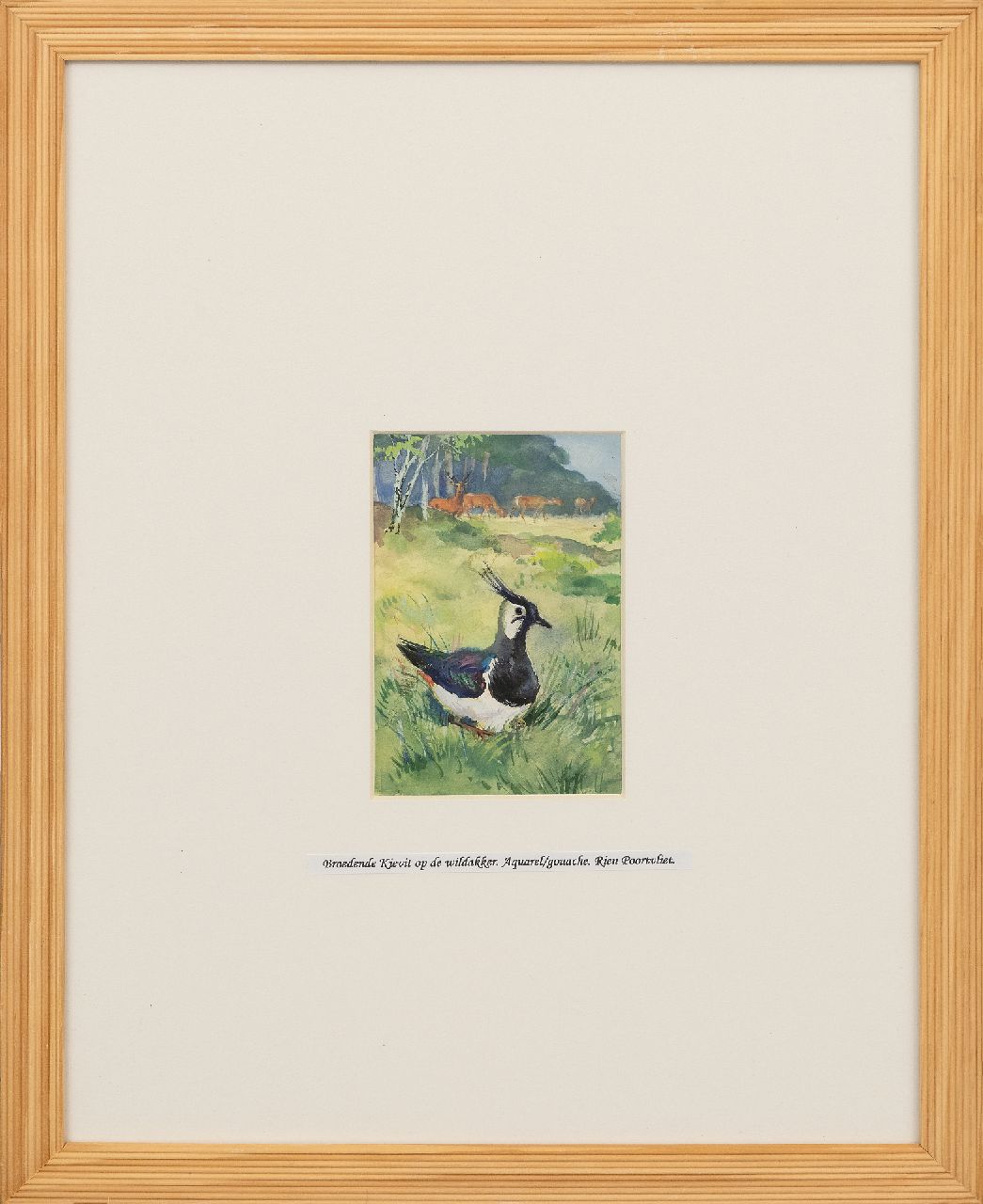 Poortvliet R.  | Rien Poortvliet | Watercolours and drawings offered for sale | Breeding Northern Lapwing at the Hoge Veluwe, gouache on paper 12.8 x 8.2 cm